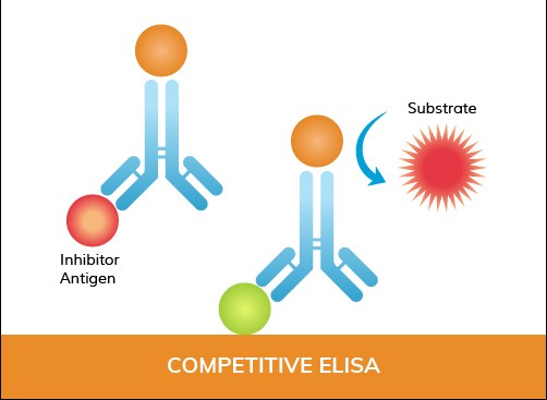 Competitive ELISA
